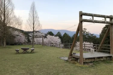 妙見野自然の森展望公園