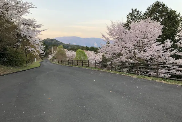 妙見野自然の森展望公園のアクセス