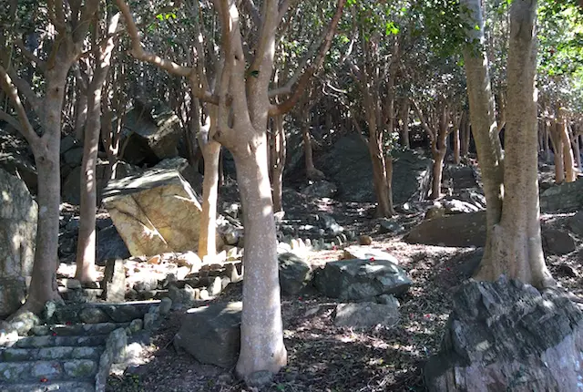 西平椿公園の階段