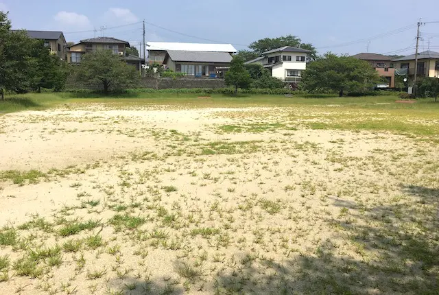 芭蕉公園の広場