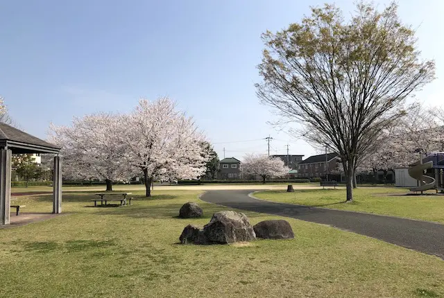 芭蕉公園