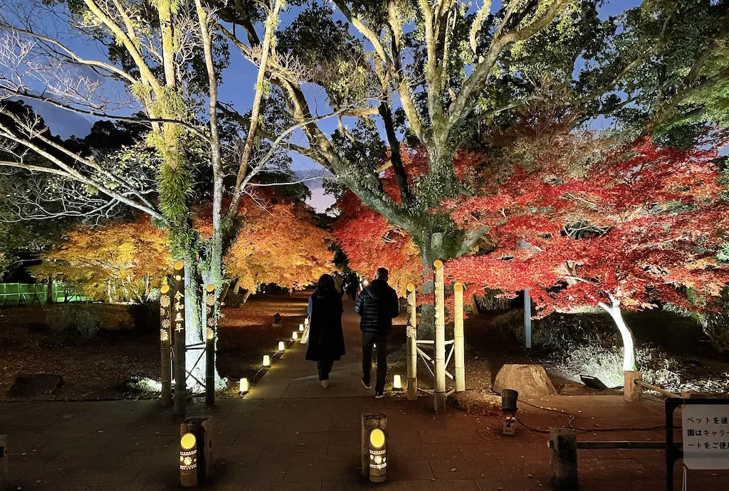 旧細川刑部邸の紅葉