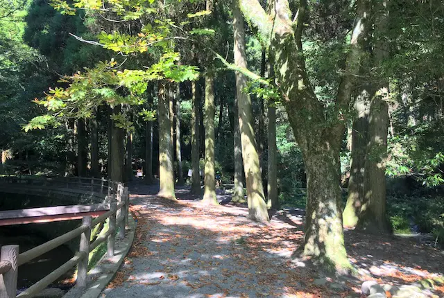 池山水源の森