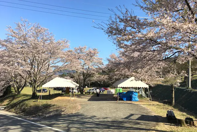 観音桜のトイレと休憩場所