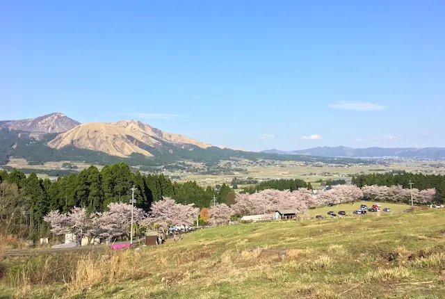 観音桜公園