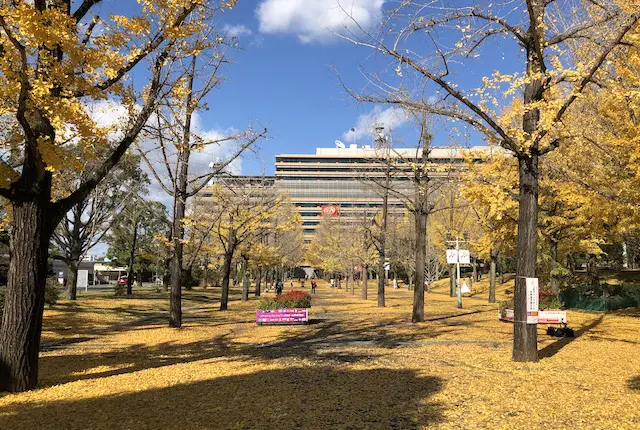 熊本県庁プロムナード