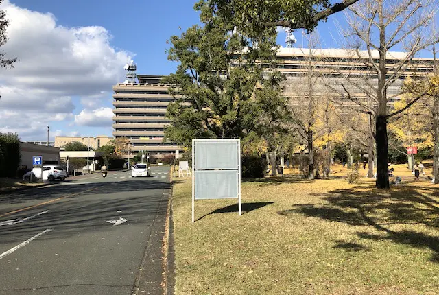 県庁プロムナードの路肩