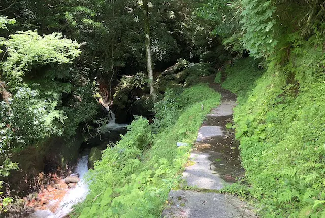 黒川温泉奥の院参道