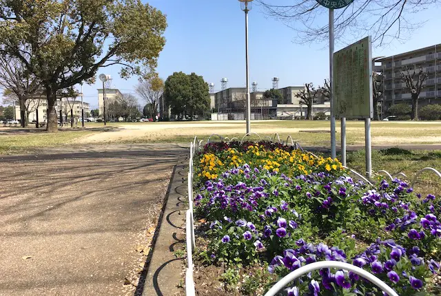 楠中央公園の花壇