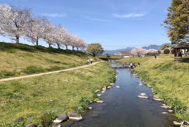 水辺プラザかもと川遊び