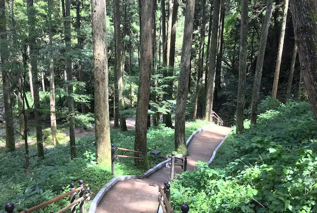 鍋ヶ滝の園路