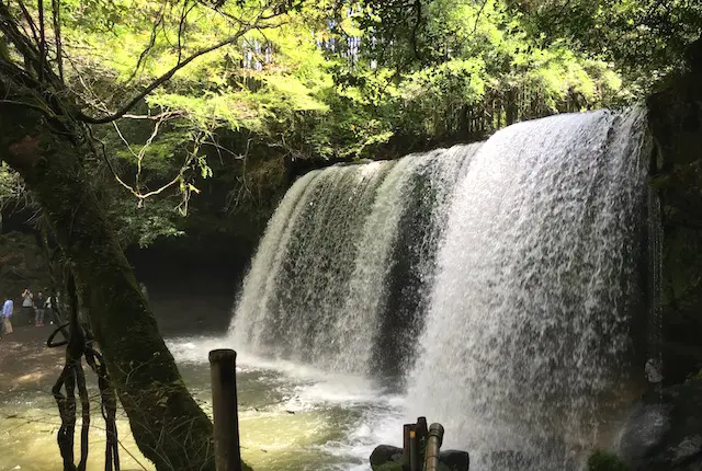 水量の多い鍋ヶ滝