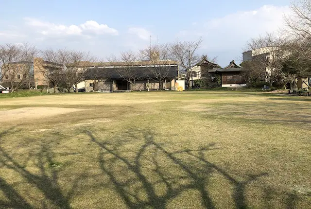 大野公園の芝生広場