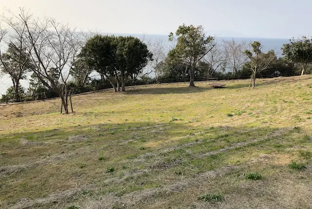 大崎鼻公園の芝生広場