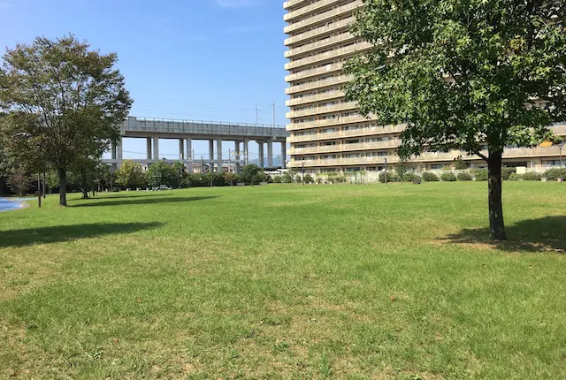 白藤公園の芝生広場