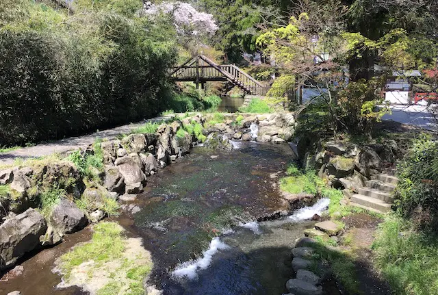 白川の清流