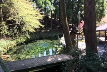 白川水源（白川吉見神社）