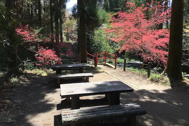 白川水源遊歩道の休憩場所