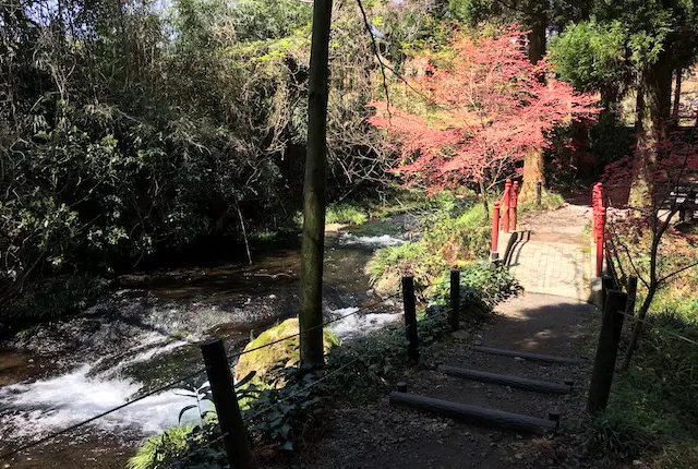 白川水源の遊歩道