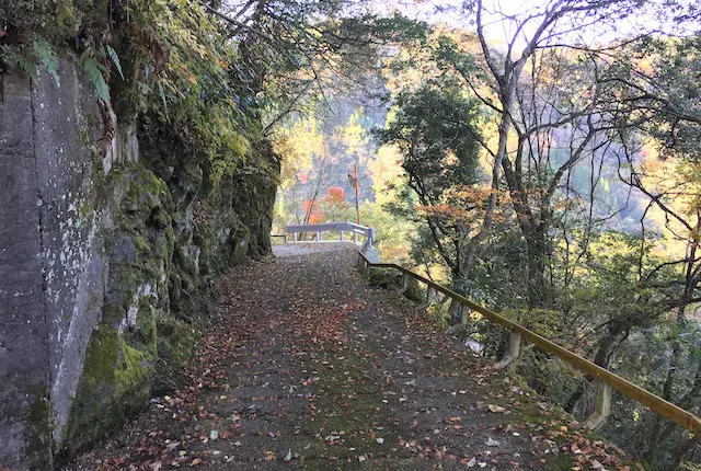 蘇陽峡散策コース