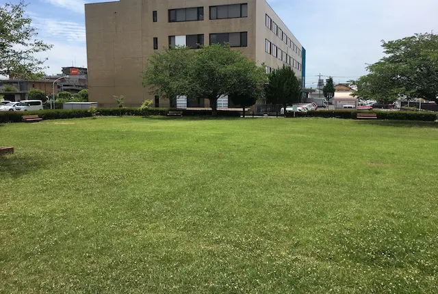 鳥井原公園の芝生広場