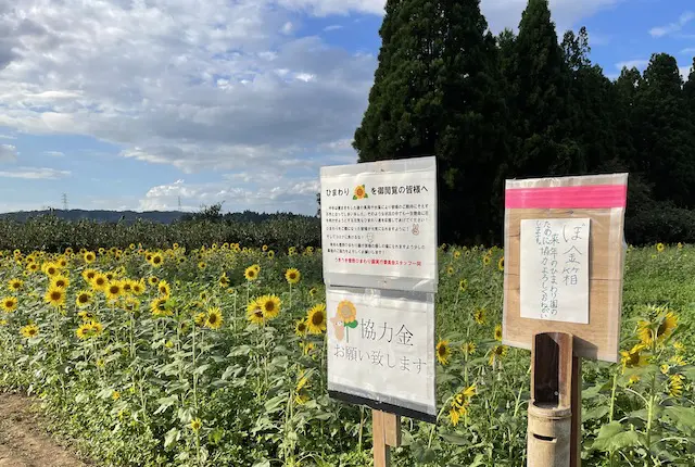 うきうき豊野ひまわり園の募金箱