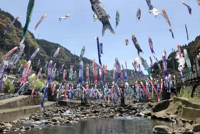 杖立温泉鯉のぼり