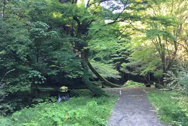 山吹水源の森