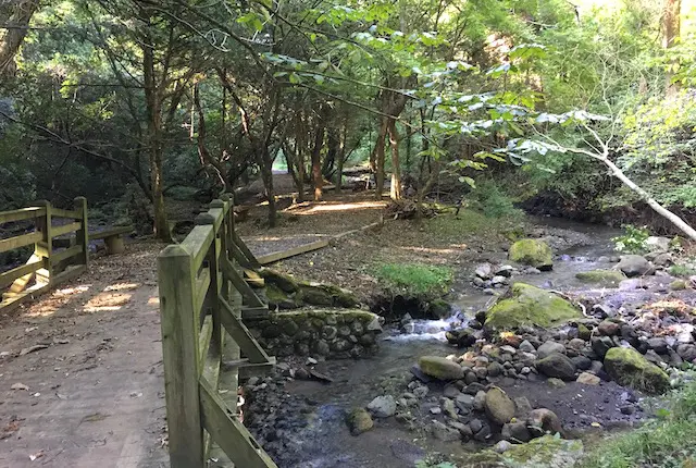 産山川と遊歩道