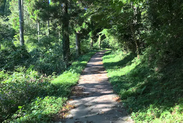 山吹水源の遊歩道